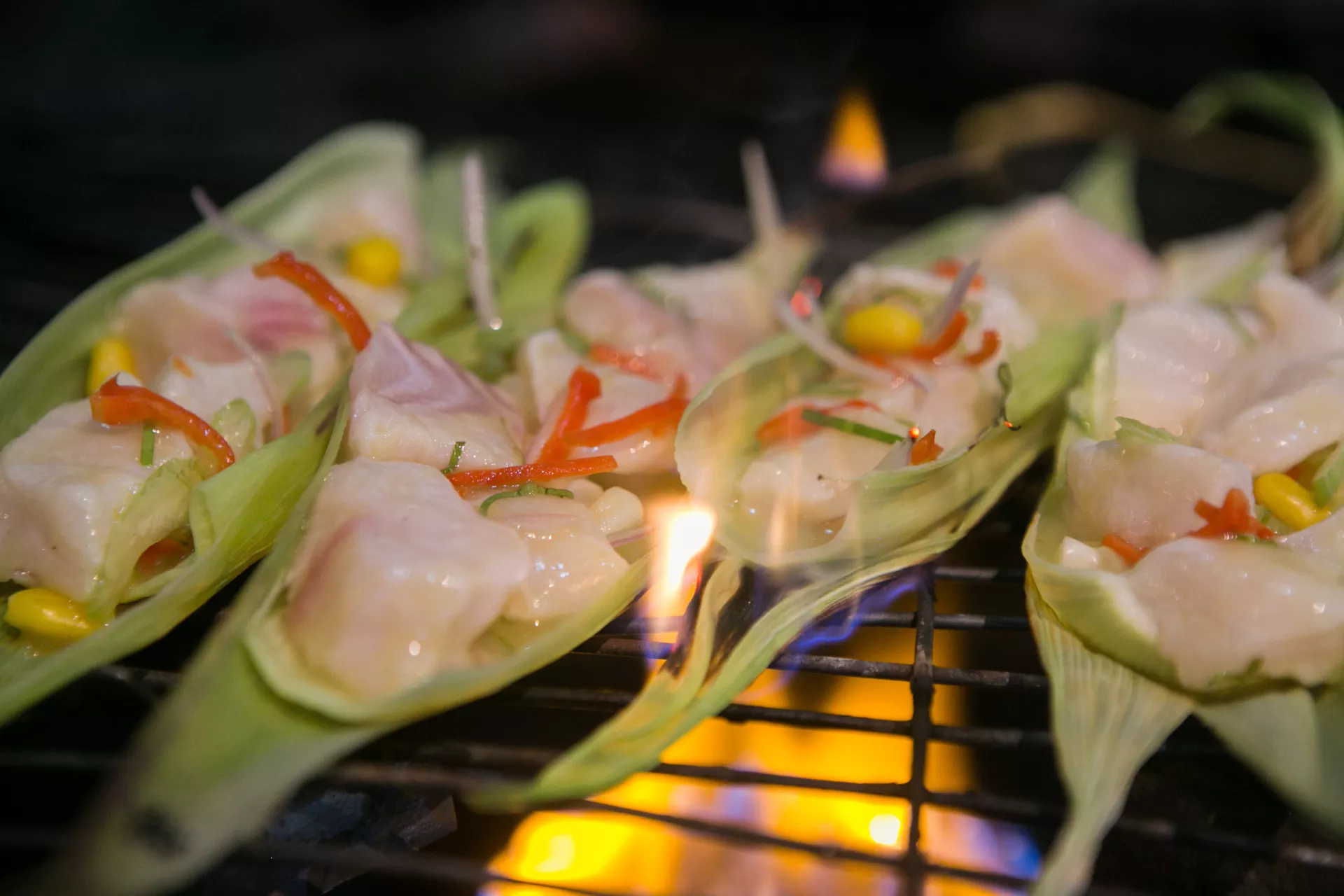 Aqua Expeditions Aria Amazon 